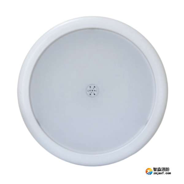 海灣HW-ZFJC-E12W-N653SG集中電源集中控制型消防應急照明燈具