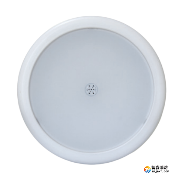 海灣HW-ZFJC-E15W-N654SG集中電源集中控制型消防應急照明燈具