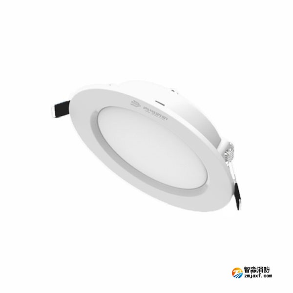 青鳥J-ZFZC-E12W-16Q1LD自帶電源集中控制型消防應急照明燈具 嵌頂