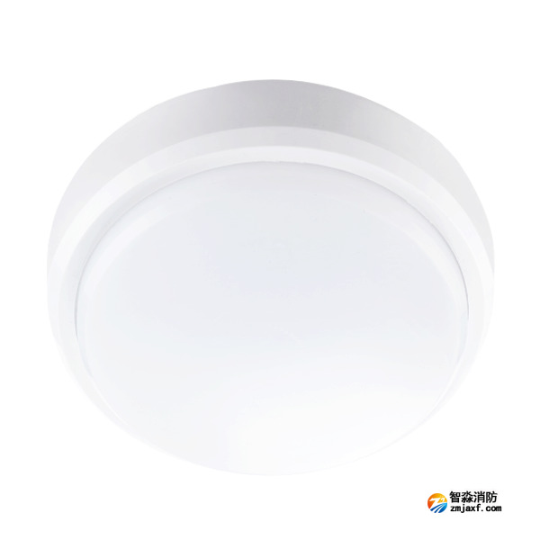 青鳥J-ZFJC-E5W-17X2集中電源集中控制型消防應急照明燈具(吸頂)