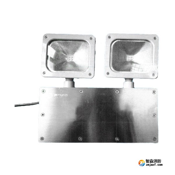 青鳥J-ZFJC-E5W-17B3集中電源集中控制型消防應急照明燈具