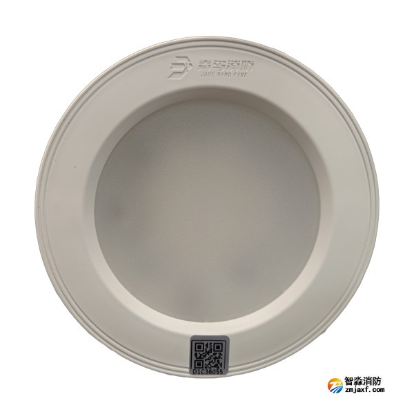 青鳥J-ZFJC-E5W-17Z7A集中電源集中控制型消防應急照明燈具