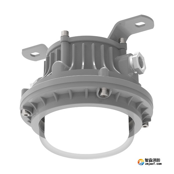 青鳥J-ZFJC-E3W-16X4-Ex集中電源集中控制型消防應急照明燈具 防爆 吸頂燈