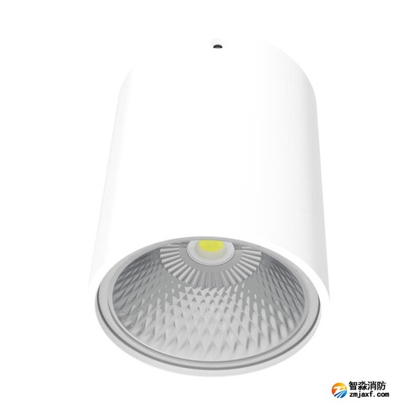 青鳥J-ZFJC-E20W-18Z2A集中電源集中控制型消防應急照明燈具