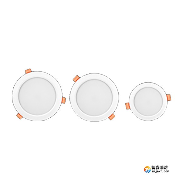 利達(dá)Q4000系列（嵌頂式）集中電源集中控制型消防應(yīng)急照明燈具