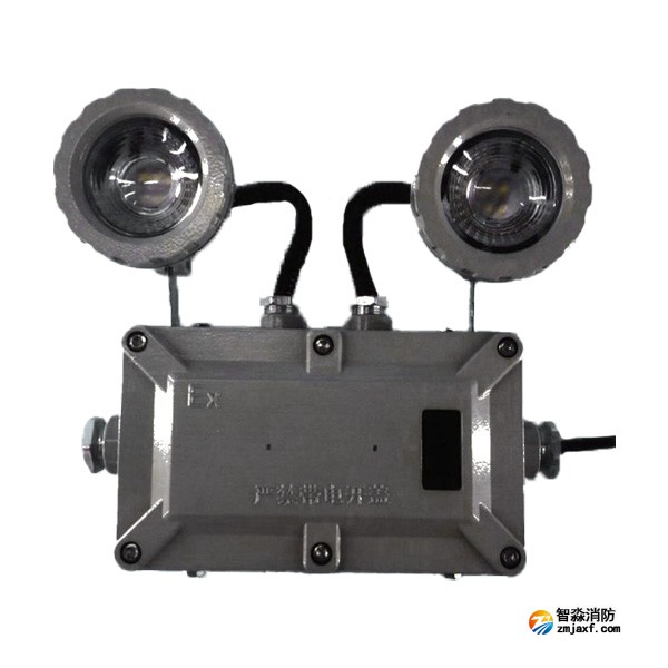 利達LD-ZFJC-E6W-B4200Ex集中電源集中控制型消防應急照明燈具
