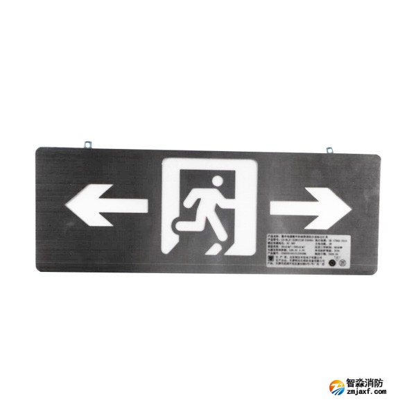 利達LD-BLJC-2LREII1W-D3006A集中電源集中控制型消防應急標志燈具