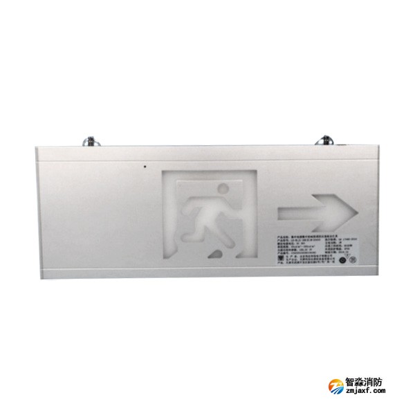 利達LD-BLJC-2RE II 1W-D3005集中電源集中控制型消防應急標志燈具