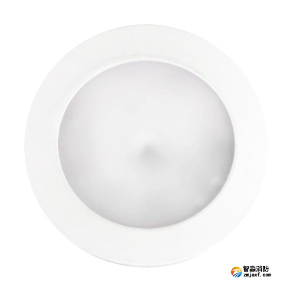 利達LD-ZFJC-E5W-X4001A集中電源集中控制型消防應急照明燈具