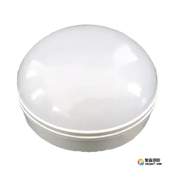 泰和安TS-ZFJC-E3W-6617/TS-ZFJC-E5W-6618二線(xiàn)制應(yīng)急照明燈具
