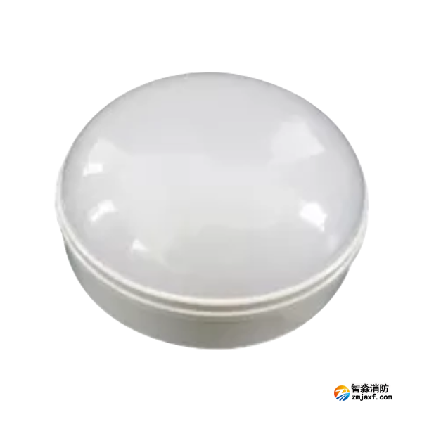 泰和安TS-ZLZC-E5W-6640G自帶蓄電池集中控制型消防應急照明燈具 吸頂式