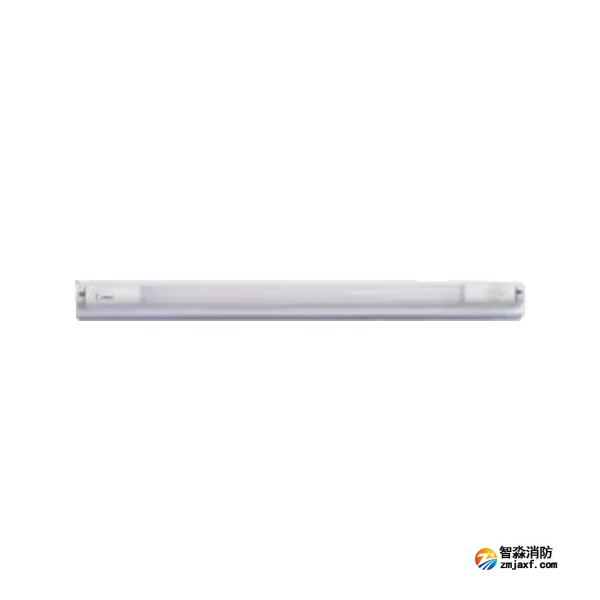 泰和安TS-ZFJC-E9W-6620A集中電源集中控制型消防應急照明燈具 T8燈管
