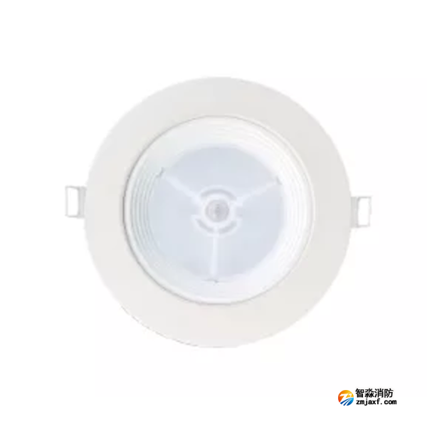 泰和安TS-ZFJC-E8W-6611B集中電源集中控制型消防應急照明燈具 嵌頂式