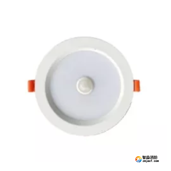 泰和安TS-ZFJC-E3W-6623/TS-ZFJC-E5W-6624集中電源集中控制型消防應急照明燈具 嵌頂式