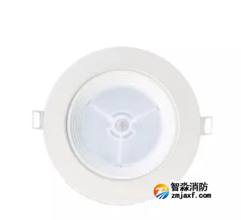 泰和安TS-ZFJC-E5W-6616B集中電源集中控制型消防應急照明燈具 嵌頂式