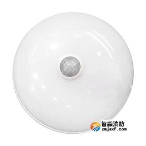 泰和安TS-ZFJC-E5W-6618G集中電源集中控制型消防應急照明燈具 吸頂式