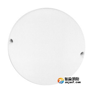 泰和安TS-ZFJC-E12W-6619集中電源集中控制型消防應急照明燈具