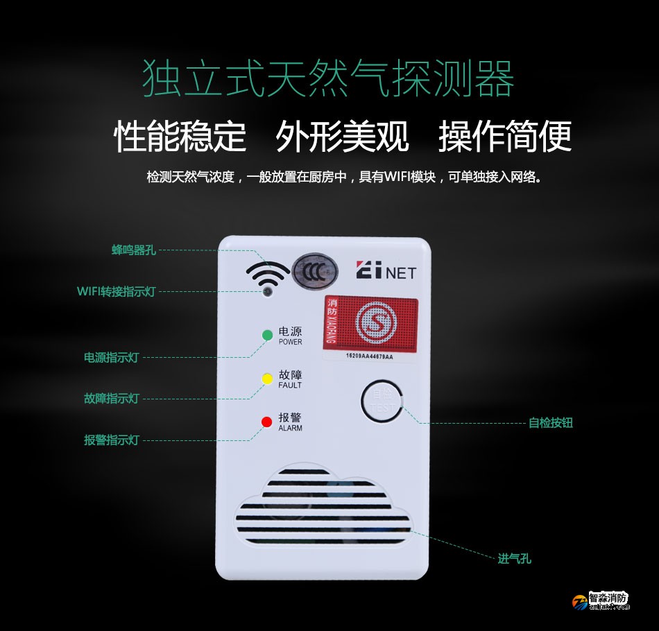 獨立式天然氣探測器