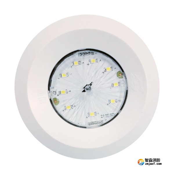 依愛EI-ZFJC-E5W-8645NX集中電源集中控制型消防應急照明燈具