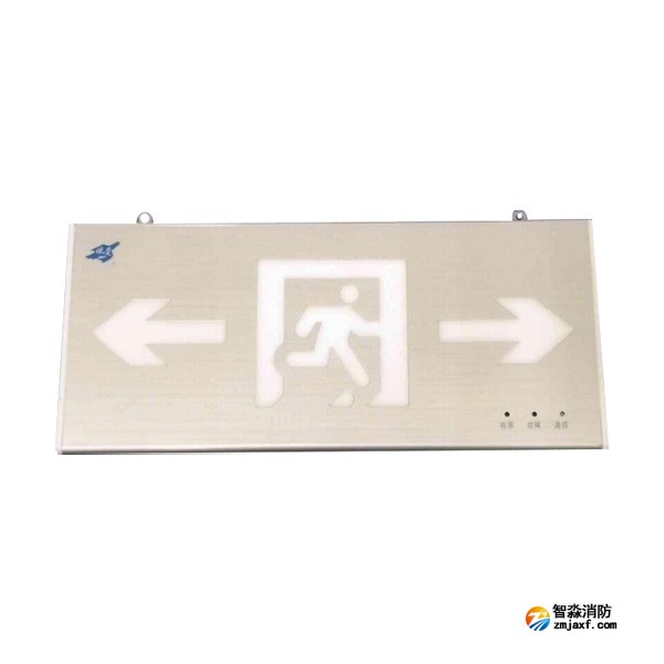 依愛EI-BLJC-2LREI1W-8638D集中電源集中控制型消防應急標志燈具 雙面雙向 吊裝
