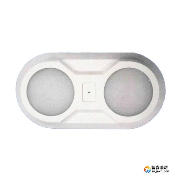 依愛EI-ZFJC-E5W-S8645BB集中電源集中控制型消防應急照明燈具 雙頭壁掛