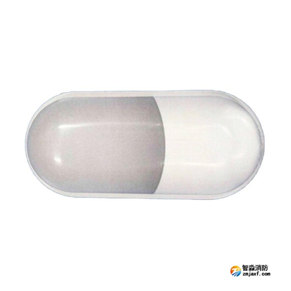 依愛EI-ZFJC-E5W-8645BB集中電源集中控制型消防應急照明燈具 單頭壁掛