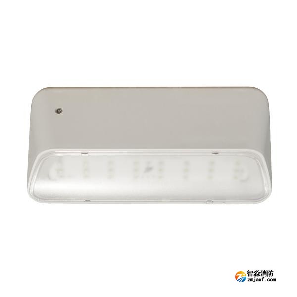 依愛EI-ZFJC-E5W-8645GB集中電源集中控制型消防應急照明燈具