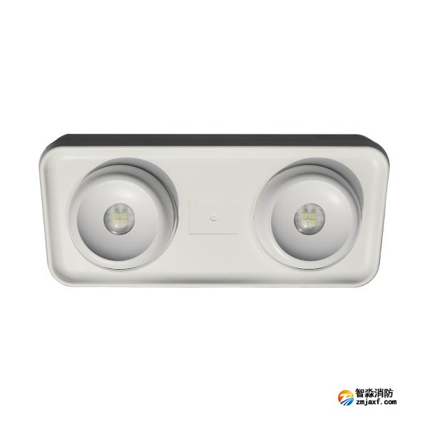 依愛EI-ZFJC-E5W-S8645GB集中電源集中控制型消防應急照明燈具