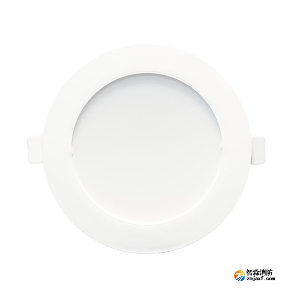 依愛EI-ZFJC-E5W-8645GQ集中電源集中控制型消防應急照明燈具