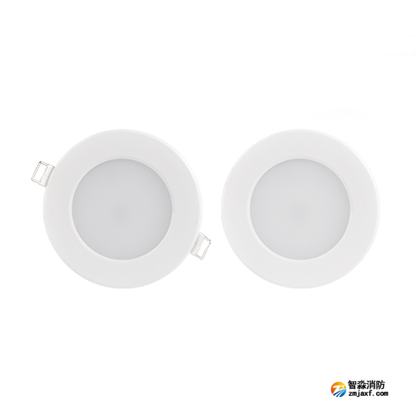 三江SJ-ZFJC-E5W/ZG52集中電源集中控制型消防應(yīng)急照明燈具