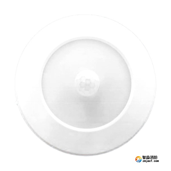 三江SJ-ZFJC-E5W/ZG53集中電源集中控制型消防應急照明燈具