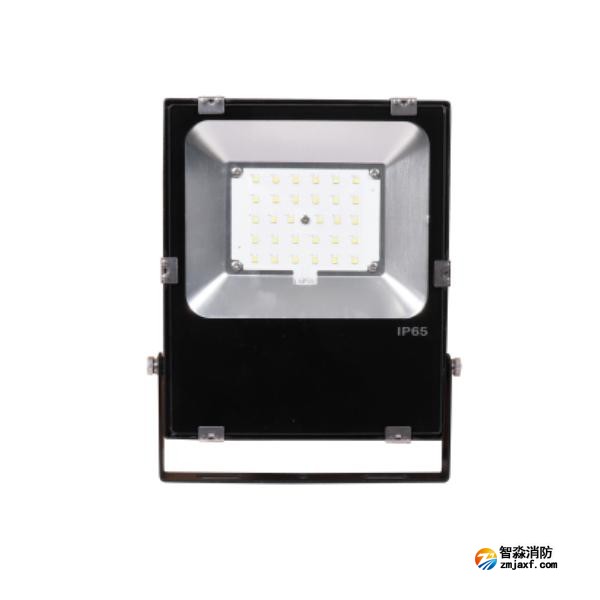 三江SJ-ZFJC-E30W/B031集中電源集中控制型消防應急照明燈具 B型