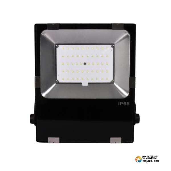 三江SJ-ZFJC-E50W/B021集中電源集中控制型消防應急照明燈具 B型