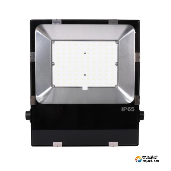 三江SJ-ZFJC-E100W/B011集中電源集中控制型消防應急照明燈具 B型