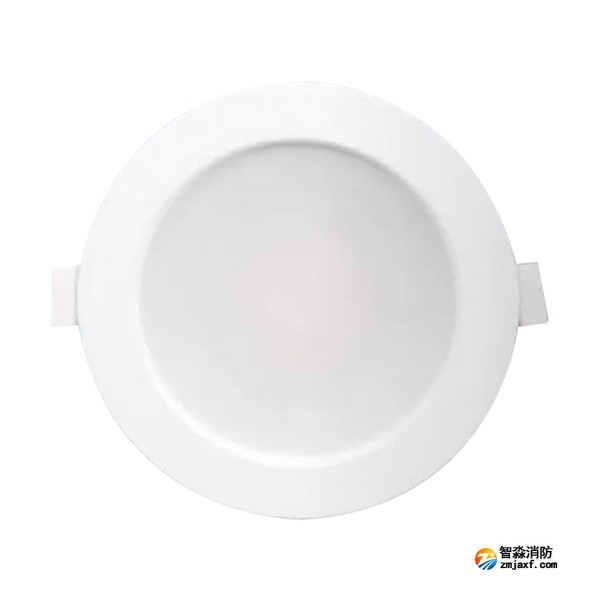 三江SJ-ZFJC-E8W/ZQ8S集中電源集中控制型消防應急照明燈具 8W壁掛