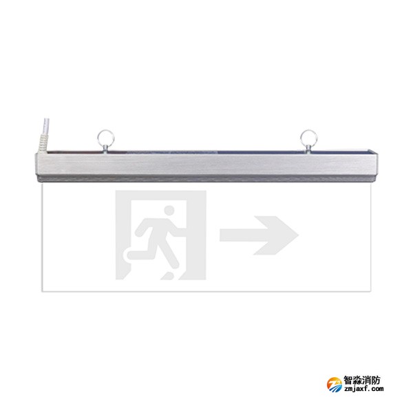 三江SJ-BLJC-Ⅱ2LRE1W/F2171集中電源集中控制型消防應急標志燈具 雙面單向