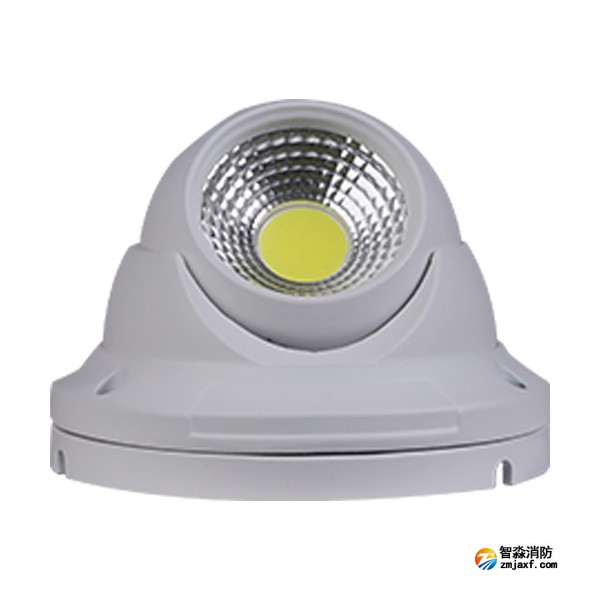 三江SJ-ZFJC-E5W/GZ011集中電源集中控制型消防應急照明燈具