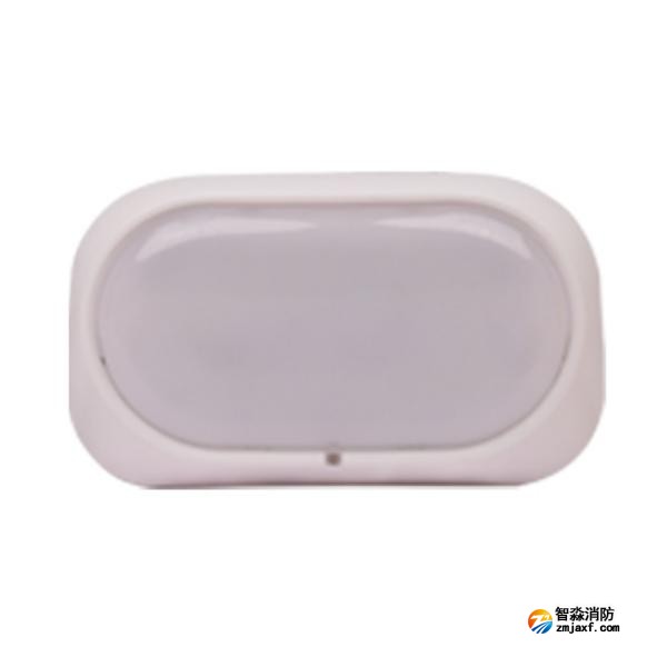 三江SJ-ZFJC-E3W/ZS34集中電源集中控制型消防應急照明燈具（壁掛照明燈）