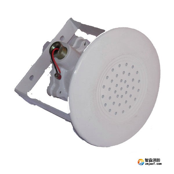 金鼎JDYS(5W)防爆音箱（有源）