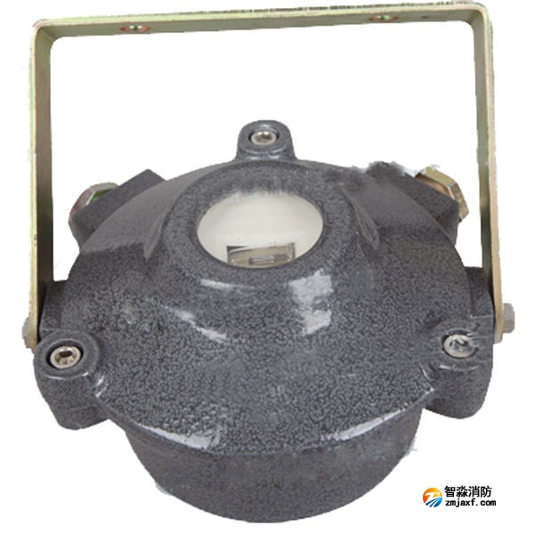 金鼎JTG-ZW-G1B防爆點型紫外火焰探測器