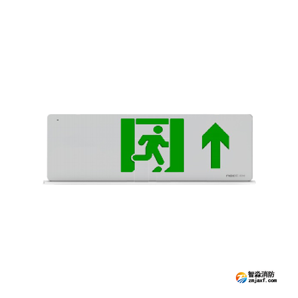 尼特NT-BLJC-2LRXOEII1W-1625集中電源集中控制型消防應急標志燈具