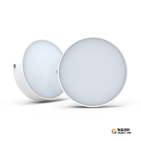 尼特NT-ZFJC-E12W-1312集中電源集中控制型消防應急照明燈具