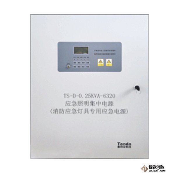 泰和安消防應(yīng)急燈具專用應(yīng)急電源TS-D-0.5KVA-6330/TS-D-0.25KVA-6320