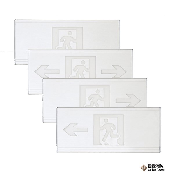 泰和安集中電源集中控制型消防應急標志燈具TS-BLJC-2LREⅠ1W-6464（鋁合金吊裝式）