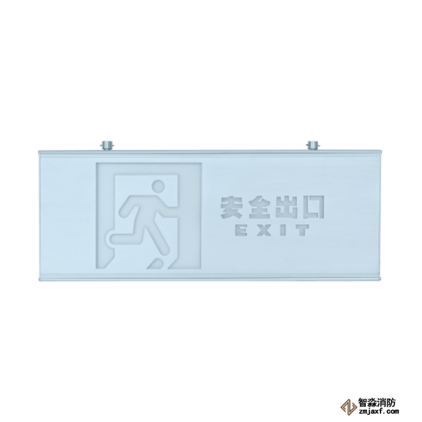 泰和安集中電源集中控制型安全出口標志燈TS-BLJC-2OEⅢ1W-6469