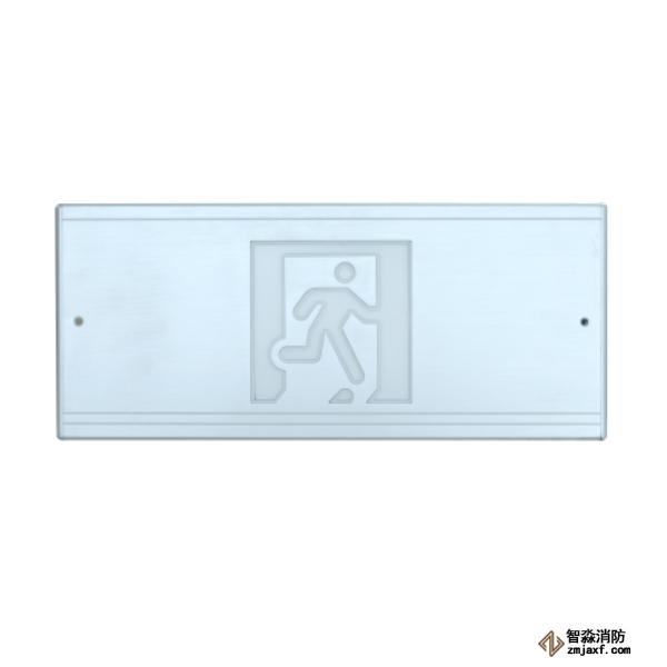 泰和安集中電源集中控制型安全出口指示燈TS-BLJC-1OEⅠ1W-6425E