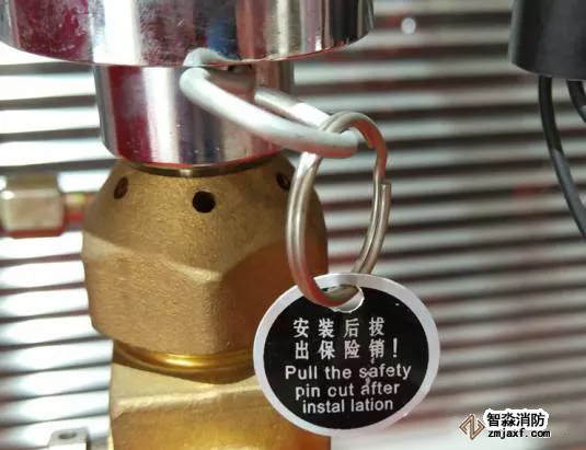 電磁閥保險(xiǎn)銷